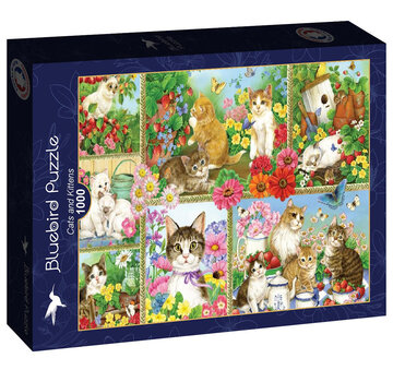 Bluebird Bluebird Cats and Kittens Puzzle 1000pcs
