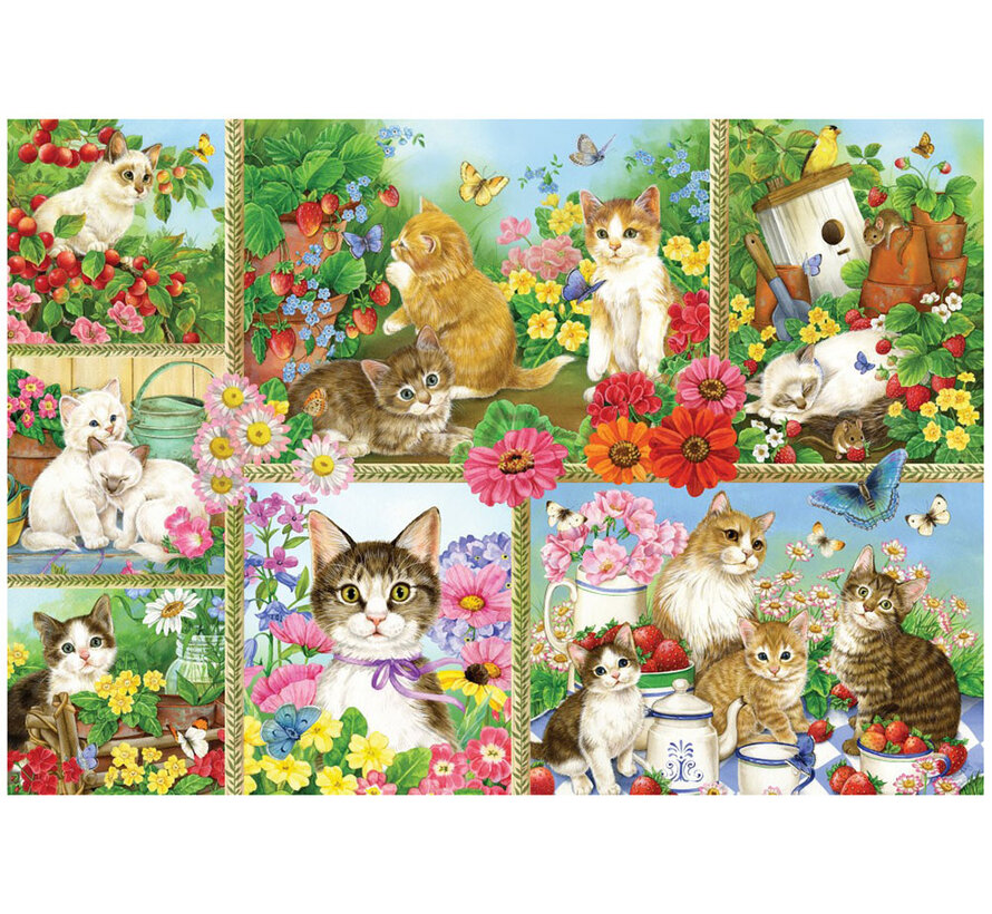 Bluebird Cats and Kittens Puzzle 1000pcs
