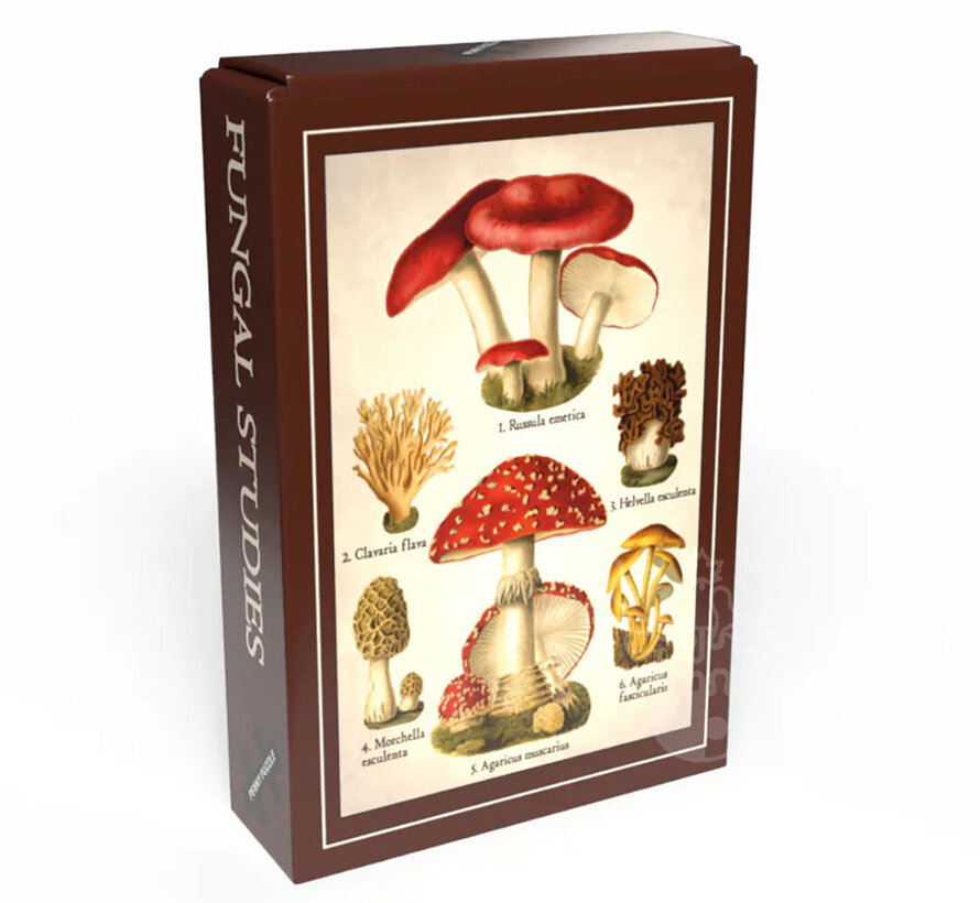 Penny Puzzle Fungal Studies Mini Puzzle 99pcs