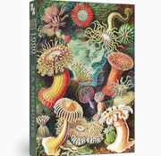 Penny Puzzle Penny Puzzle Sea Anemones Puzzle 1000pcs