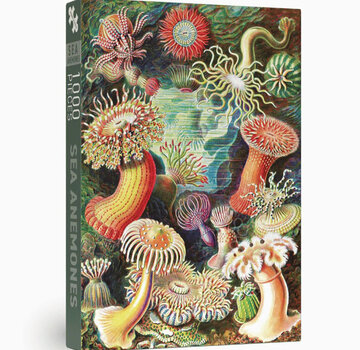 Penny Puzzle Penny Puzzle Sea Anemones Puzzle 1000pcs
