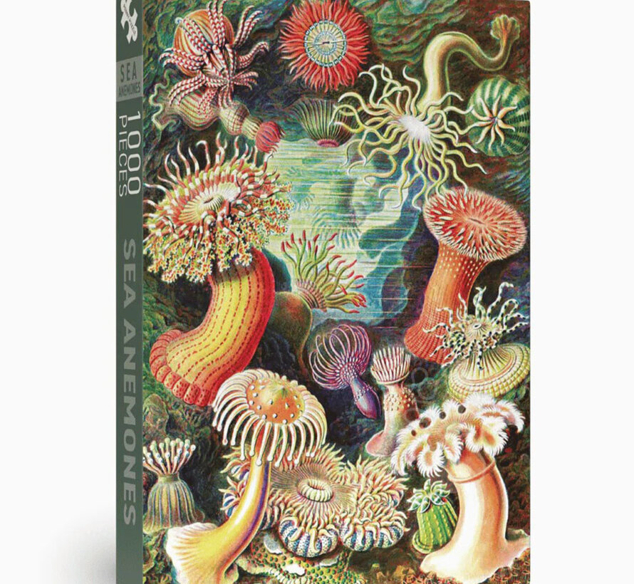 Penny Puzzle Sea Anemones Puzzle 1000pcs