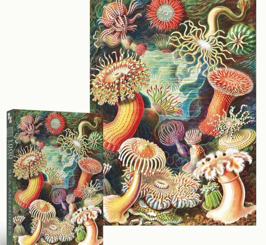 Penny Puzzle Sea Anemones Puzzle 1000pcs