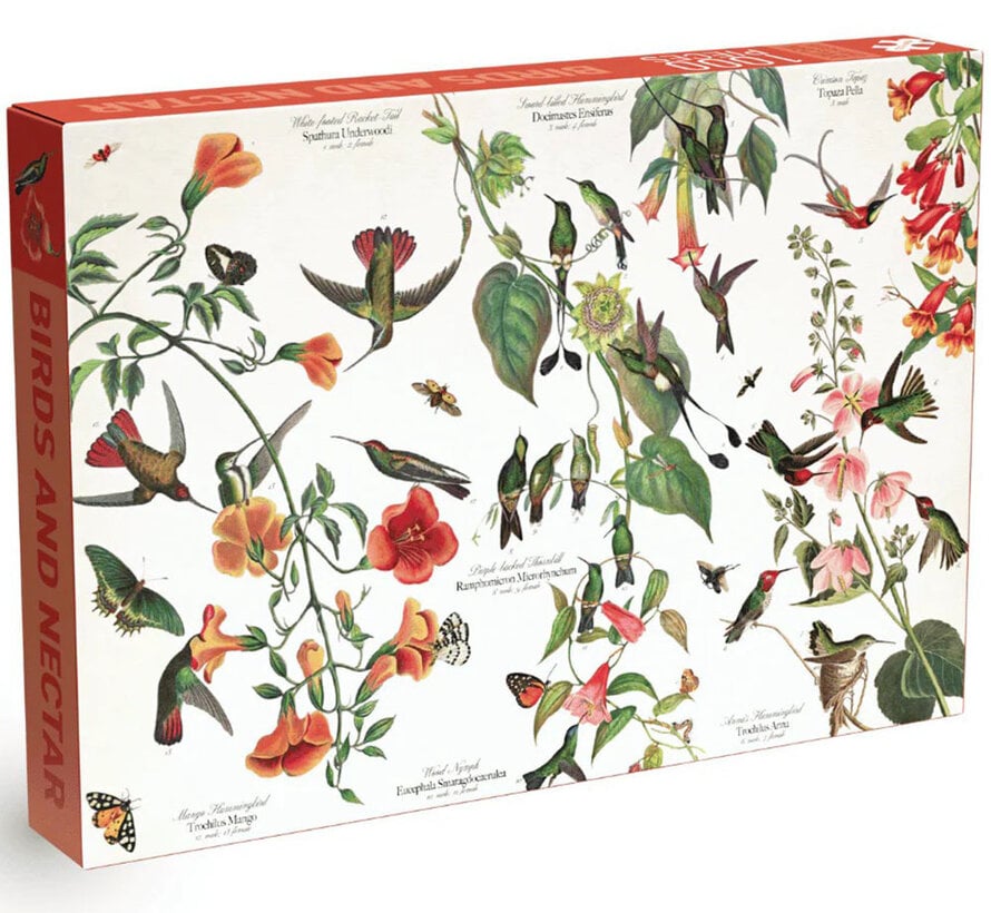 Penny Puzzle Birds and Nectar Puzzle 1000pcs