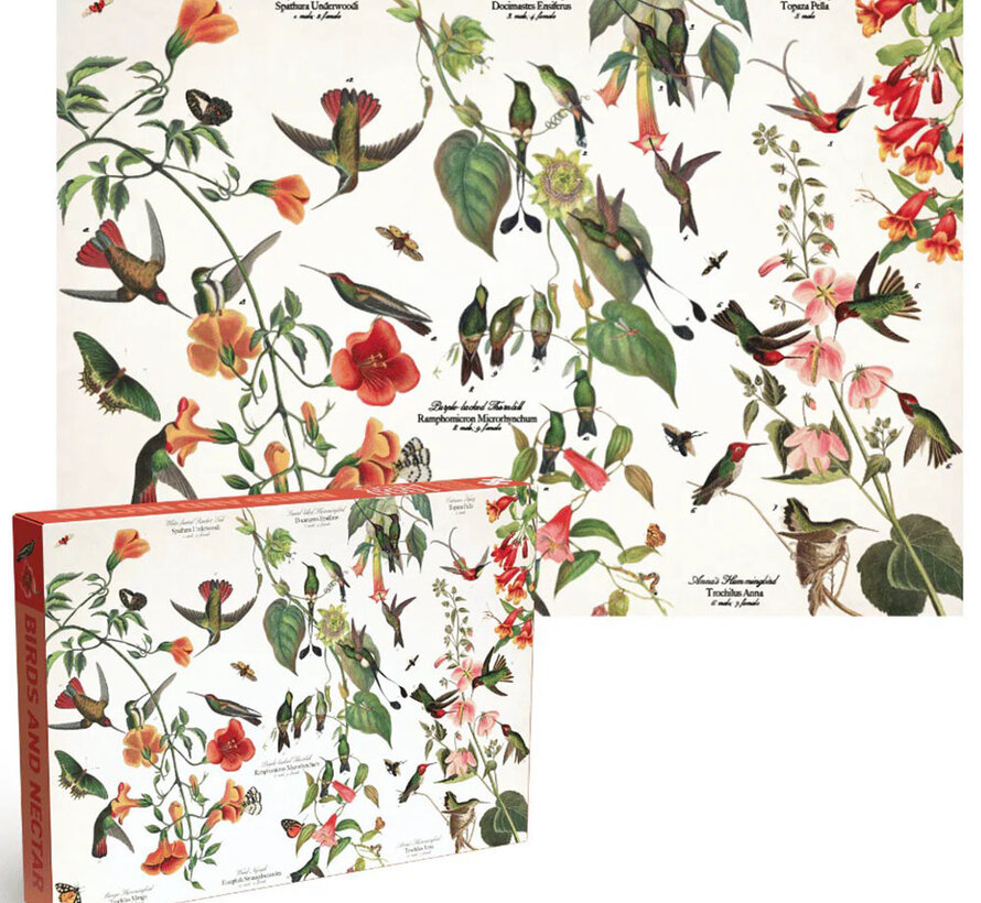 Penny Puzzle Birds and Nectar Puzzle 1000pcs