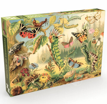 Penny Puzzle Penny Puzzle Wonders of Nature Puzzle 1000pcs