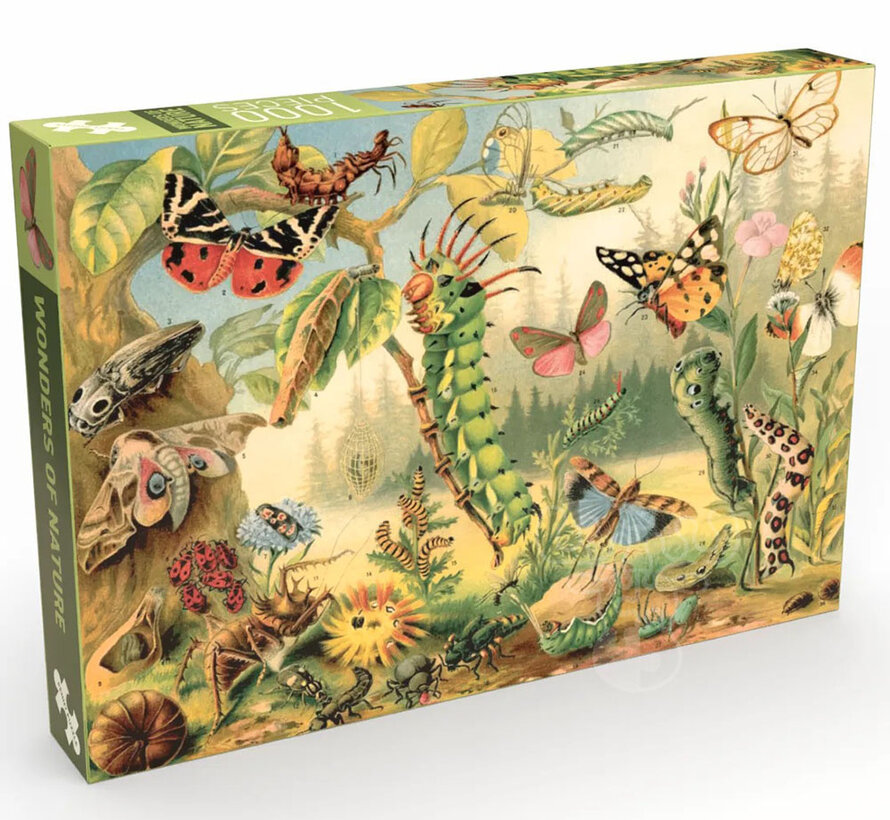 Penny Puzzle Wonders of Nature Puzzle 1000pcs