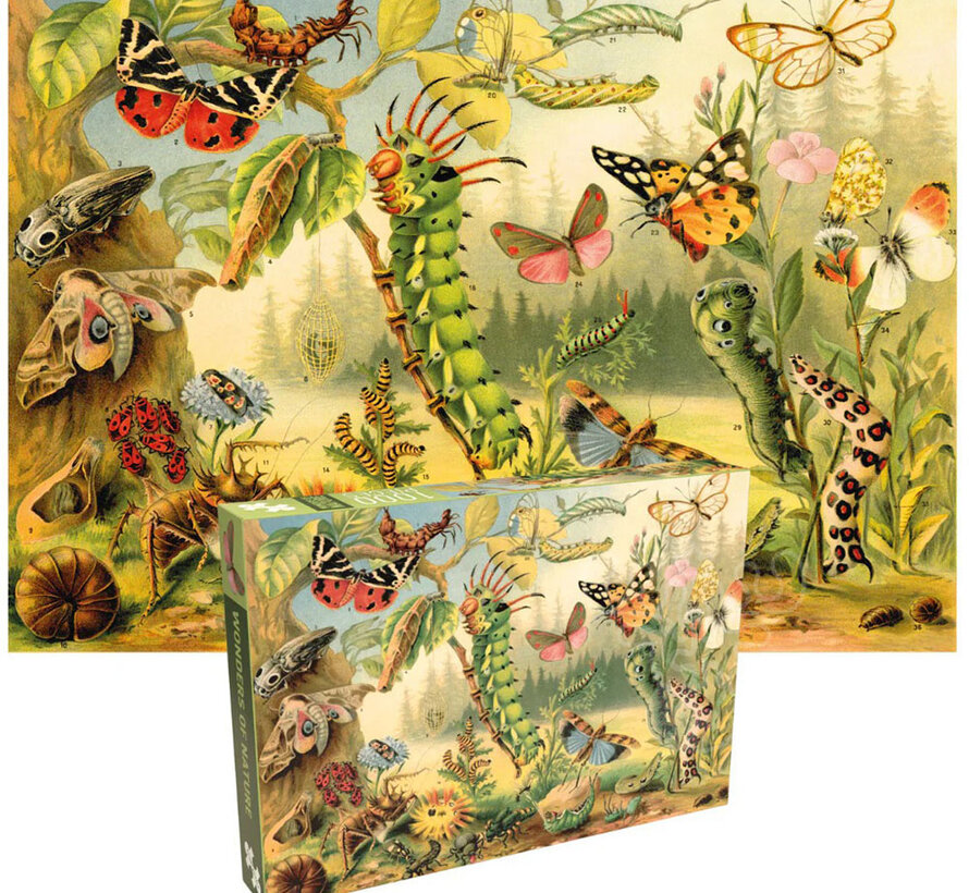 Penny Puzzle Wonders of Nature Puzzle 1000pcs