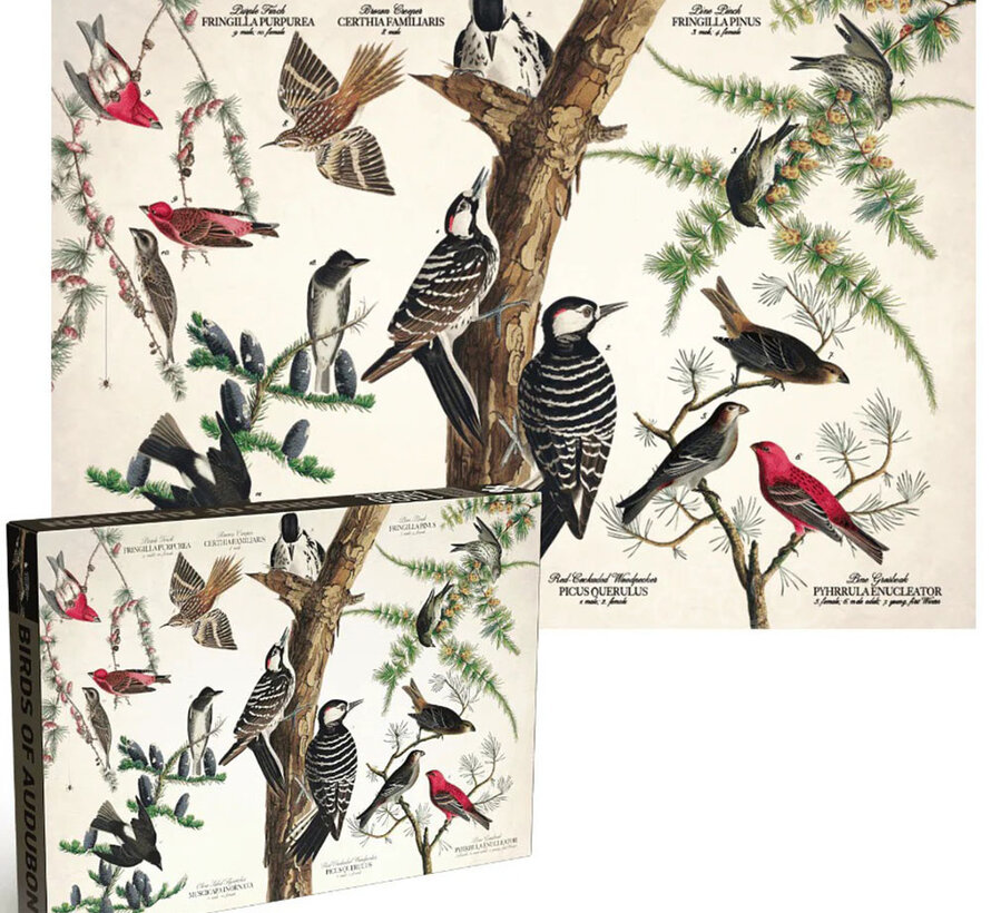 Penny Puzzle Birds of Audubon Puzzle 1000pcs