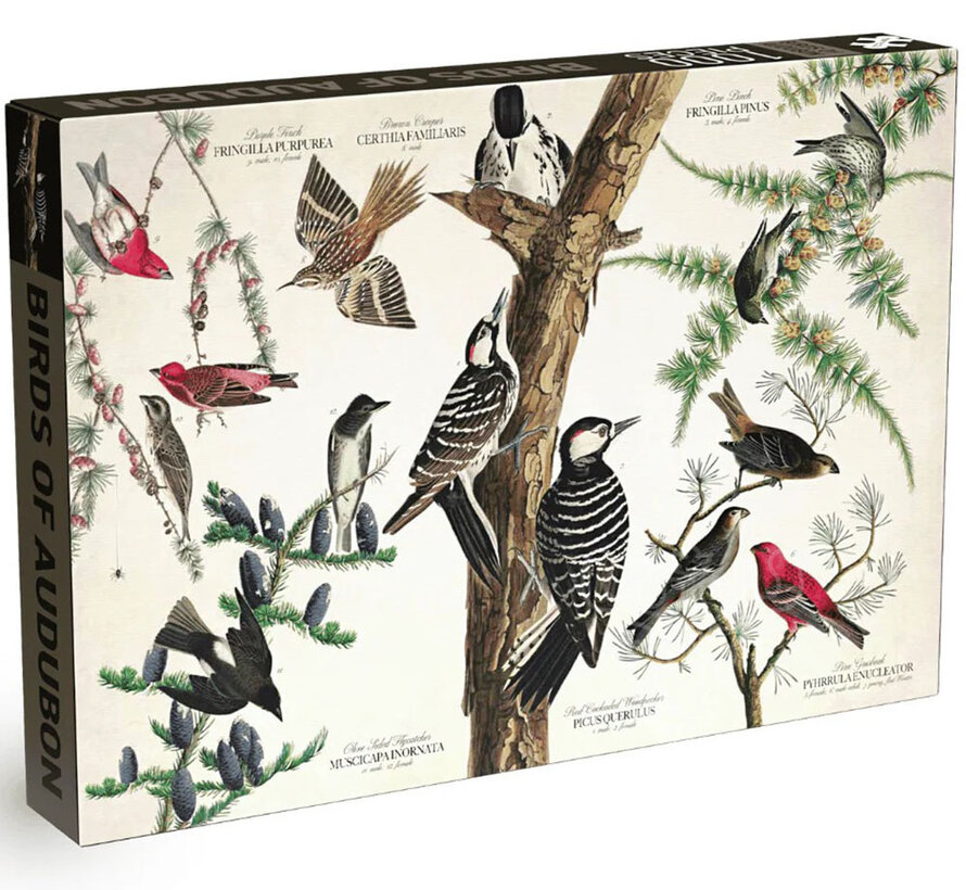 Penny Puzzle Birds of Audubon Puzzle 1000pcs