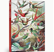 Penny Puzzle Penny Puzzle Hummingbirds Puzzle 1000pcs