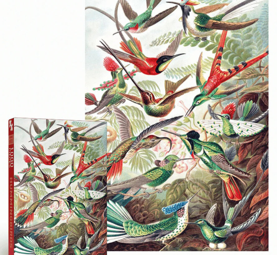 Penny Puzzle Hummingbirds Puzzle 1000pcs