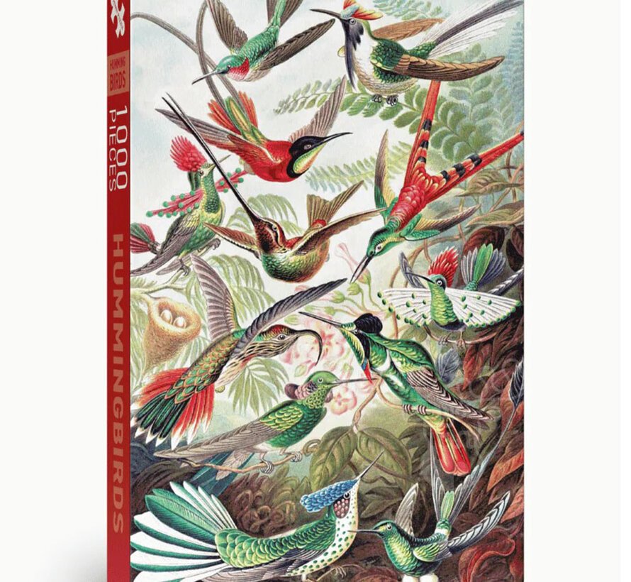 Penny Puzzle Hummingbirds Puzzle 1000pcs