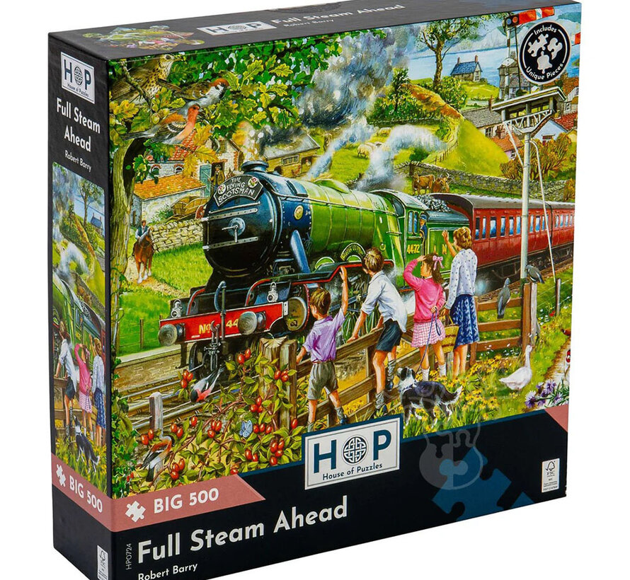 House of Puzzles Full Steam Ahead Puzzle Big 500pcs