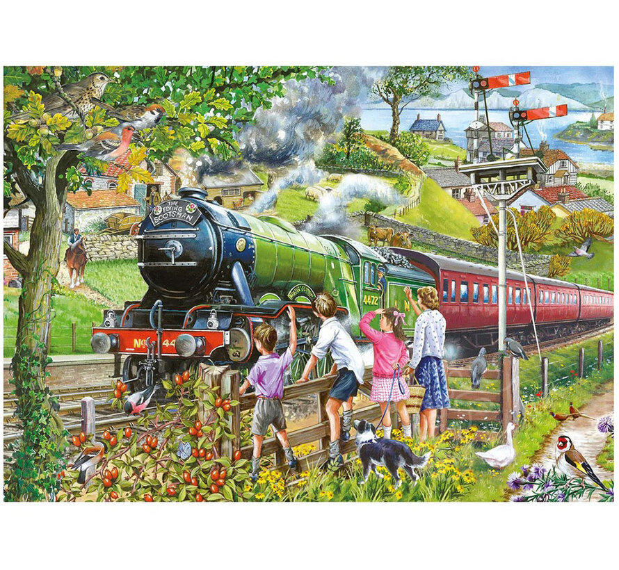 House of Puzzles Full Steam Ahead Puzzle Big 500pcs