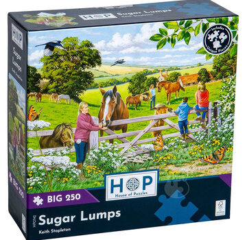 House of Puzzles House of Puzzles Sugar Lumps Puzzle Big 250pcs