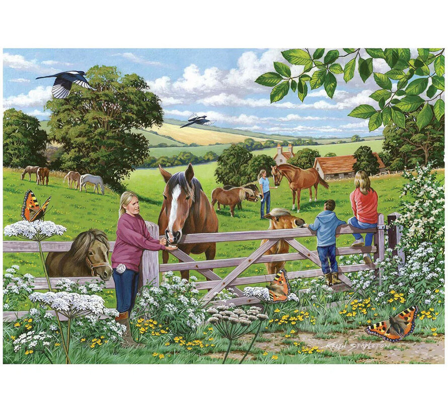 House of Puzzles Sugar Lumps Puzzle Big 250pcs