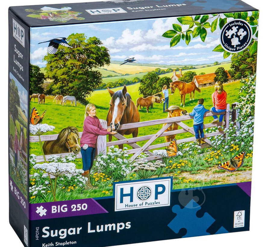 House of Puzzles Sugar Lumps Puzzle Big 250pcs