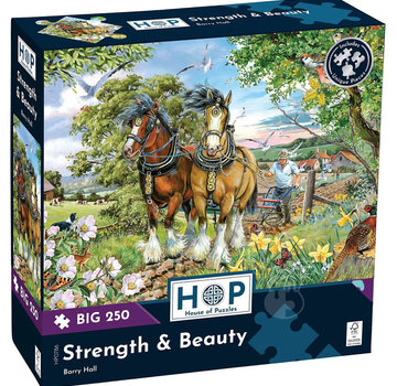 House of Puzzles House of Puzzles Strength & Beauty Puzzle Big 250pcs
