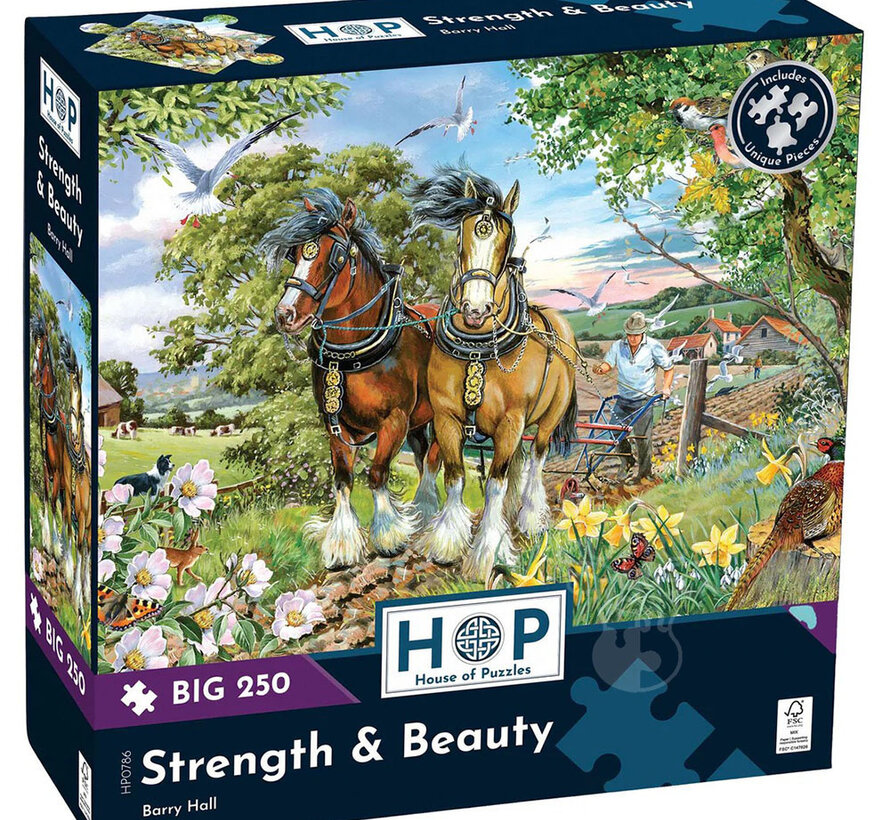 House of Puzzles Strength & Beauty Puzzle Big 250pcs