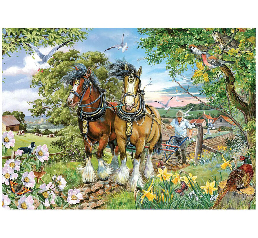 House of Puzzles Strength & Beauty Puzzle Big 250pcs