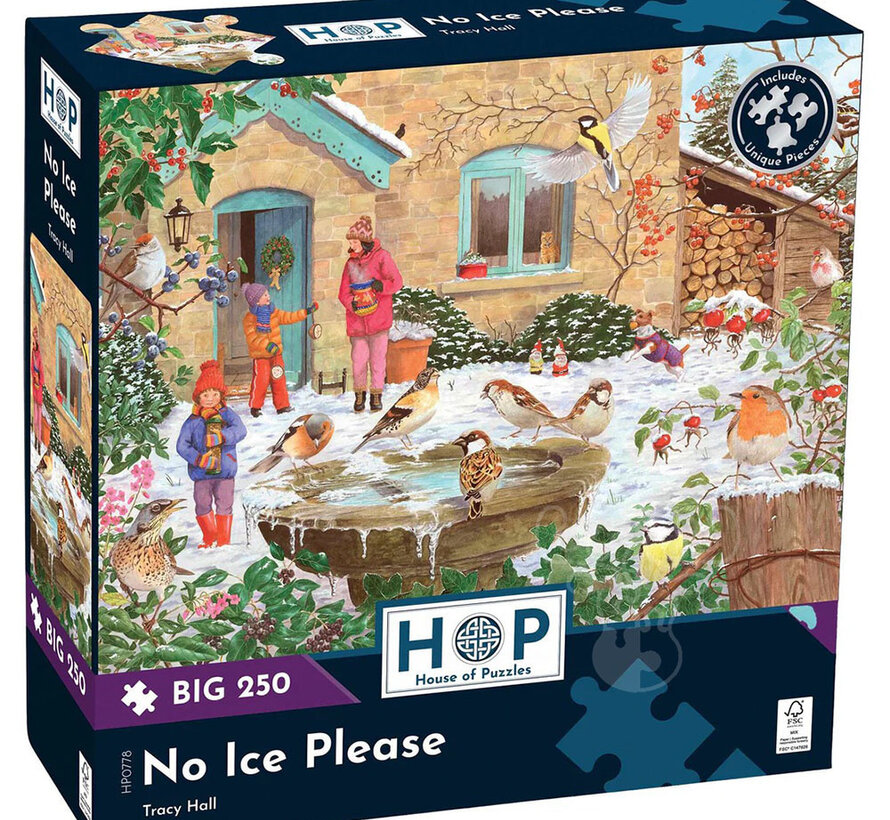 House of Puzzles No Ice Please Puzzle Big 250pcs