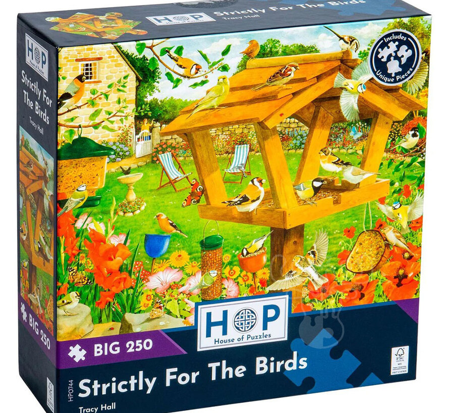 House of Puzzles Strictly For The Birds Puzzle Big 250pcs
