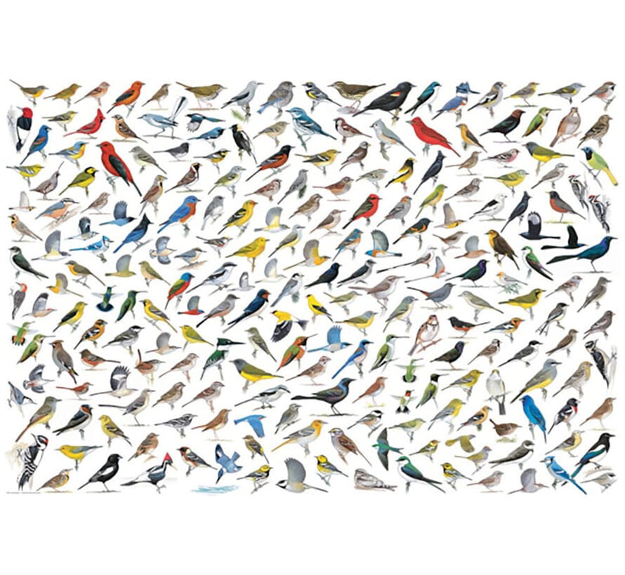 Eurographics The World of Birds Puzzle 2000pcs