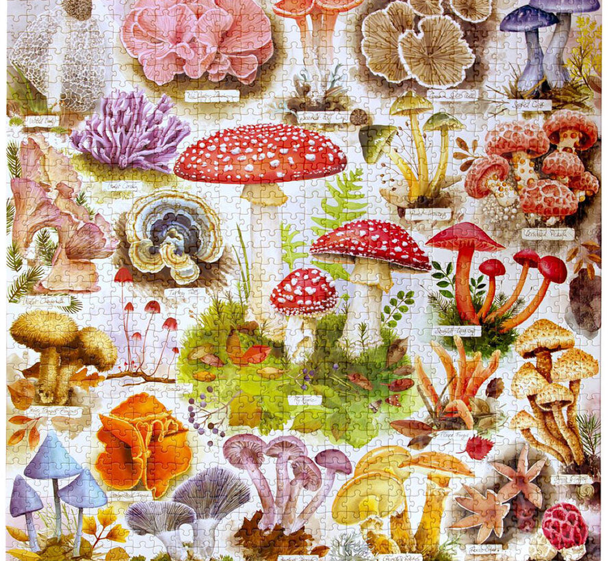 eeBoo Bountiful Mushrooms Puzzle 1000pcs
