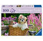 Ravensburger Feel Well & Puzzle: Sweet Little Dog Puzzle 100pcs XL