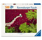 Ravensburger A Sea of Red Puzzle 500pcs