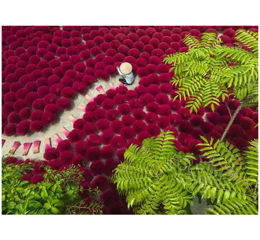 Ravensburger A Sea of Red Puzzle 500pcs