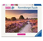 Ravensburger Beautiful Walkways:  Pink Pathway Puzzle 1000pcs