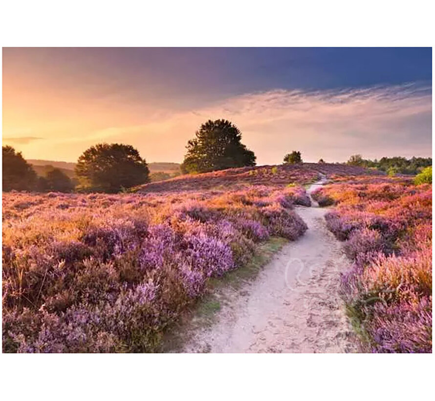 Ravensburger Pink Pathway Puzzle 1000pcs