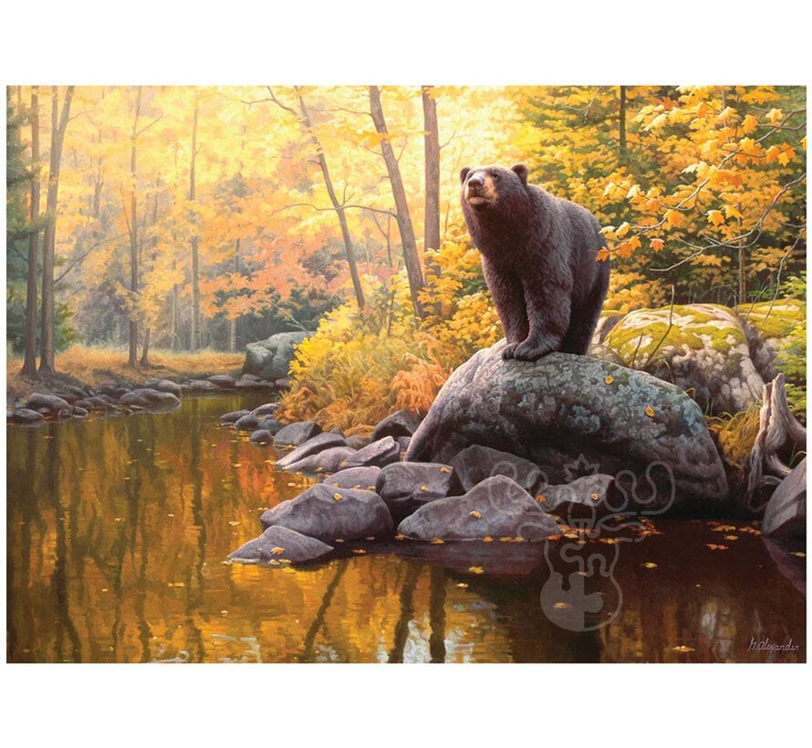 Cobble Hill Black Bear Pond Puzzle 1000pcs