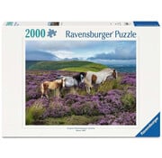 Ravensburger Ravensburger Wild Horses in the Heather Puzzle 2000pcs