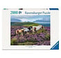 Ravensburger Wild Horses in the Heather Puzzle 2000pcs