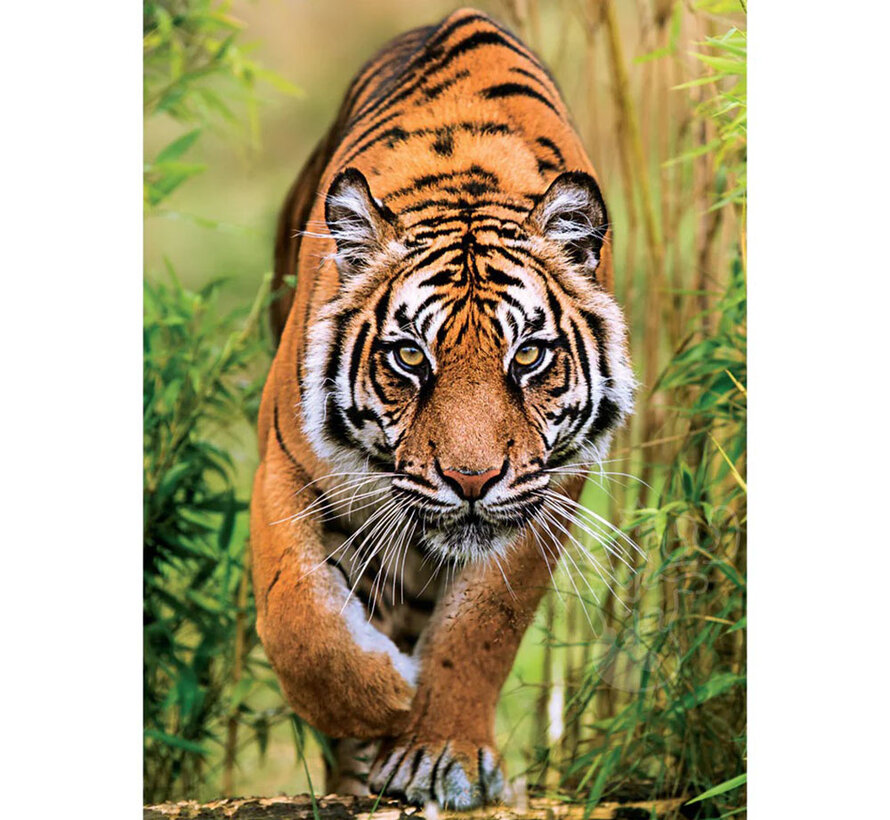 Clementoni The Hunter’s Path Puzzle 1000pcs