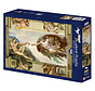 Bluebird Michel Ange - La Création d'Adam Puzzle 2000pcs