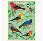 Cavallini Bird Watching Greeting Card Puzzle 60pcs