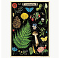 Cavallini Foraging Greeting Card Puzzle 60pcs