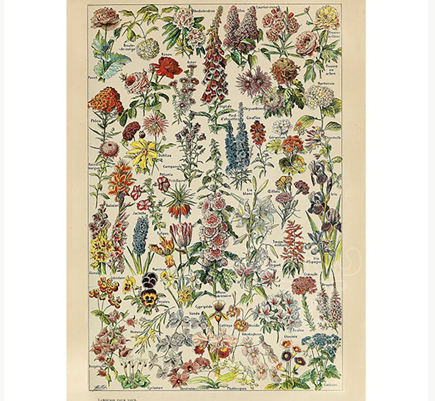 Piatnik Millot - Flowers Puzzle 1000pcs