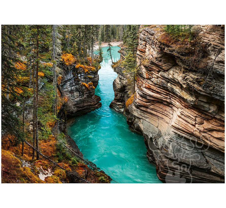 FINAL SALE Ravensburger Athabasca Falls, Canada Puzzle 1000pcs Canadian JPA Nationals 2026 Teams Division Qualifier 2