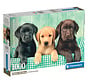 Clementoni Three Labs Puzzle 1000pcs