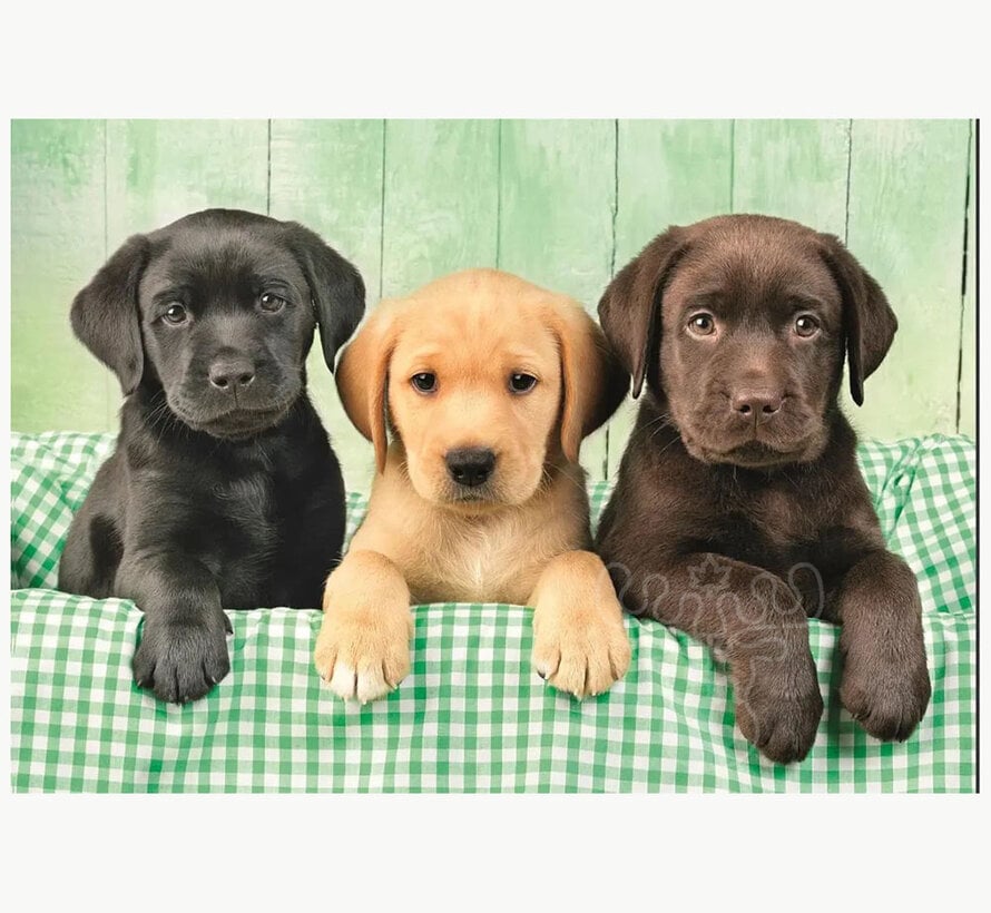 Clementoni Three Labs Puzzle 1000pcs