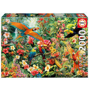 Educa Borras Educa Amazon Birds Puzzle 2000pcs