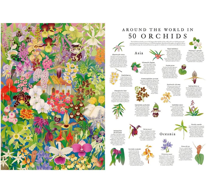 Laurence King Around the World in 50 Orchids Puzzle 1000pcs