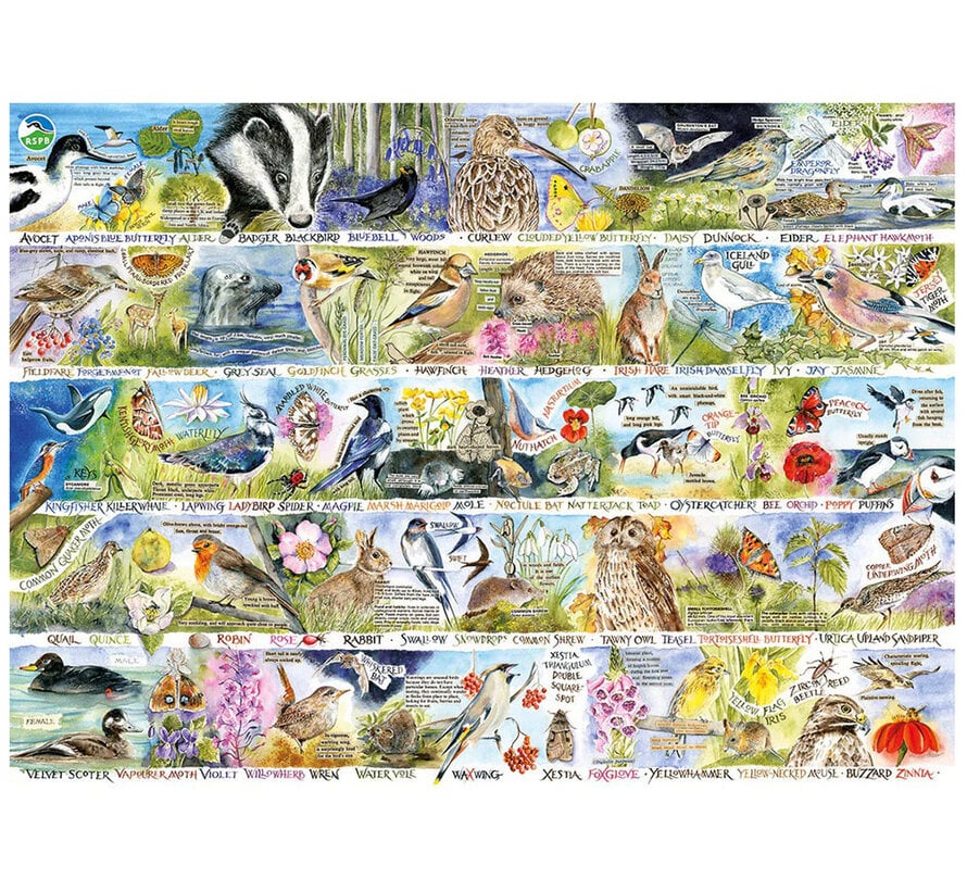 Gibsons RSPB Birdsong & Bluebells Puzzle 1000pcs