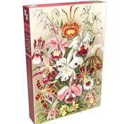 Penny Puzzle Penny Puzzle Orchids Puzzle 500pcs