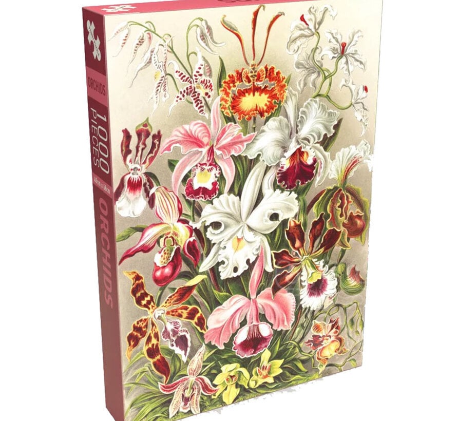Penny Puzzle Orchids Puzzle 500pcs